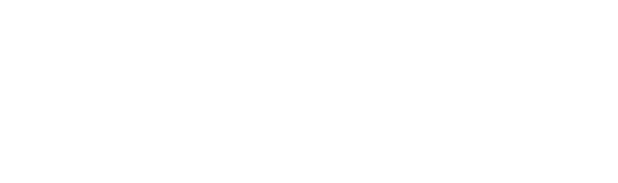 Sepro Güvenlik Sistemleri